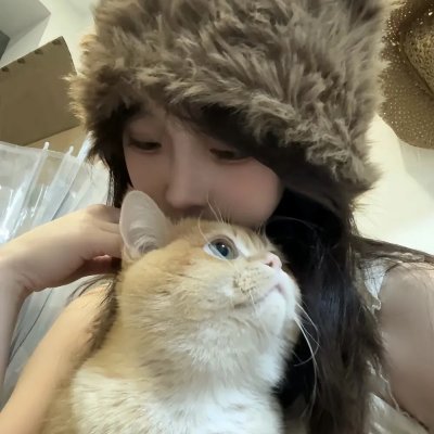 龙牌之谜